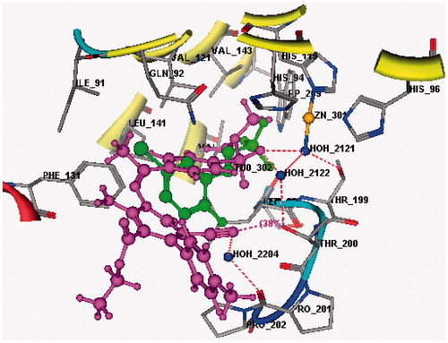 Figure 2. 3D Docking of sulfonamide derivative 6 (magenta) (S = −12.92 Kcal mol−1) compared to the co-crystallized ligand (green) in the active site of CA IX (hydrogen bonds are represented by red dashed lines).