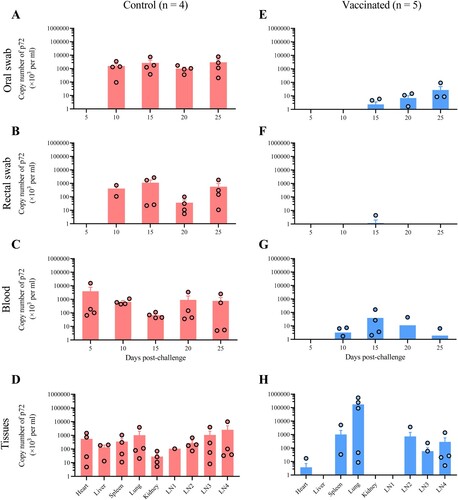 Figure 6. Viral shedding and replication in HLJ/18-7GD-vaccinated pigs challenged with the genotype I low virulent virus SD/DY-I/21. HLJ/18-7GD-vaccinated and control pigs were challenged with 106 TCID50 of the low virulent virus SD/DY-I/21. Oral and rectal swabs and blood were collected on the indicated days post-challenge. The indicated tissue samples were collected from the dead pigs and surviving pigs that were euthanized on day 28 post-challenge. Viral DNA in these samples was extracted and detected by using qPCR. LN1, intestinal lymph node; LN2, inguinal lymph node; LN3, submaxillary lymph node; LN4, bronchial lymph node.