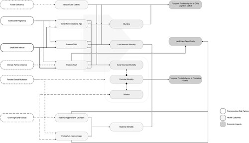 Figure 1. Conceptual framework of economic impacts of poor preconception health.