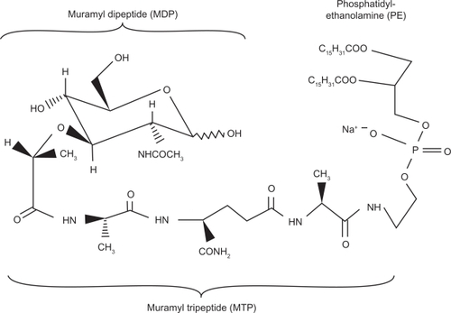 Figure 2 The molecular structure of liposomal muramyl tripeptide phosphatidyl ethanolamine (L-MTP-PE).