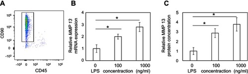 Figure 5 Effect of the TLR4 agonist lipopolysaccharide on MMP13 expression and MMP13 production. (A). Flow cytometric analysis of cultured synovial tissue-derived cells. X-axis indicates CD45, y-axis indicates CD90. (B-C). Effect of the TLR4 agonist lipopolysaccharide on MMP13 expression and MMP13 production. Relative MMP13 expression (B) and MMP13 protein concentration in the culture supernatant (C) of synovial cells treated with or without lipopolysaccharide were examined by quantitative PCR and enzyme-linked immunosorbent assay, respectively. Data indicate mean ± standard error (n=8). *P<0.05.