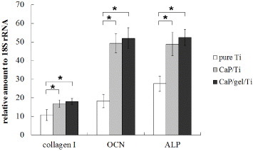 Figure 5. Gene expressions of collagen I, ALP and OCN of MSCs on pure Ti, CaP/Ti and CaP/gel/Ti plates after culturing for 14 days. ∗: P < 0.05.