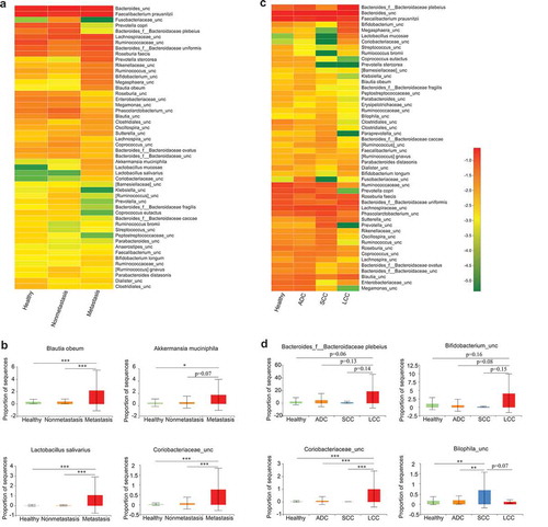 Figure 3. Association between clinical variables and gut microbiota abundance. Heat map showing the relative abundances of the 50 most abundant species in samples grouped by metastatic status (a) and lung cancer subtypes (c), respectively. Species were in rows, and the relative abundance was indicated by color gradient. The most significantly changed species were further analyzed in each group (b, d). Description of boxplots was the same as in Figure 1. Two-tailed Wilcoxon rank-sum test, *p < .05, **p < .01, ***p < .001.
