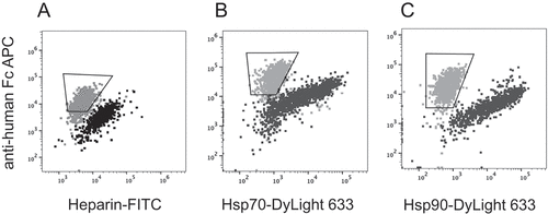 Figure 7. Screening for polyreactivity by mammalian display. Dual staining with (a) Heparin-FITC, (b) Hsp70 or (c) Hsp90 (x-axis) and anti-human Fc APC (y-axis). Dot plots showing overlay of ustekinumab (gray) and briakinumab (black). Gate within the overlay plots indicates the cells to be high expressers and non-binders to heparin or Hsp proteins