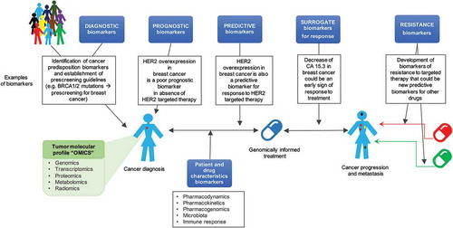 Figure 1. Types of biomarkers in the multistep drug development process.