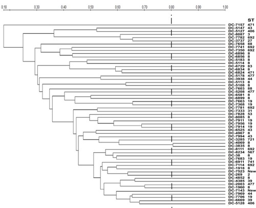 Figure 2 PFGE profiles of Xba I-digested chromosomal DNAs of carbapenem-resistant E. coli isolates. Relatedness was analyzed using QualityOne software (Bio-Rad Laboratories, USA). The phylogenetic tree was generated using UPGMA clustering. A genetic similarity index scale is indicated by the vertical line.