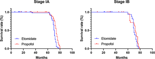 Figure 3 Demonstration of postoperative survival curves of gastric cancer patients with TNM stage IA and IB. The horizontal coordinates represent the 5-year survival time (months) and the vertical coordinates represent the survival rate.