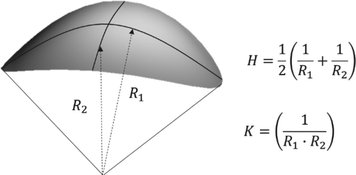 Figure 1. Local geometry and interfacial curvature described by mean and Gaussian curvatures (H, K).