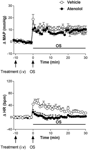 Figure 5. Time course curves of mean arterial pressure (ΔMAP) and heart rate (ΔHR) responses observed after acute OS i.p. injection (0.6 M NaCl) in animals pretreated with either vehicle (1 mL/kg i.v. n = 6) or atenolol (1 mg/kg, i.v. n = 4). Drugs were injected at the time -10 min. The onset of OS was at time 0 min. (*) indicates significantly different from control, Two-way ANOVA, P < 0.05.