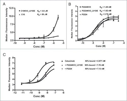 Figure 8. (A-B) Flow cytometric analysis of C10 and mutants. (A) A431-NS cells were stained with scFv overnight at 4°C, fixed, and detected with a mouse anti-His-FITC antibody. (C) Cells were pre-blocked with indicated scFv overnight at 4°C, stained with FITC-labeled cetuximab, fixed and analyzed. Error bars represent +/− SD of duplicate wells and the data is representative of at least 3 independent experiments.