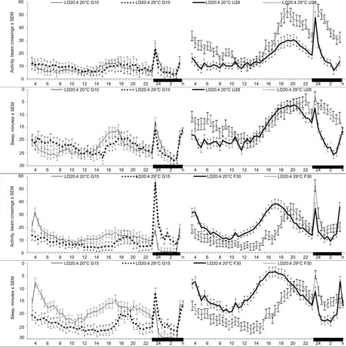 Figure 4 Locomotor activity and sleep in four chronotypes under four experimental conditions. Data of each of four experiments under constant darkness (DD in summer and winter) and long photoperiod (LD20:4 at 20°C and at 29°C) were averaged within each of four strains (G10, U28, G15, and F30).