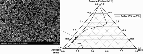 Fig. 6. Partial phase diagram at 40°C of the quasi‐ternary system SDS/toluene‐pentanol (1:1)/water in presence of 10% PalBu, and Cryo‐SEM micrograph of the bicontinuous channel.