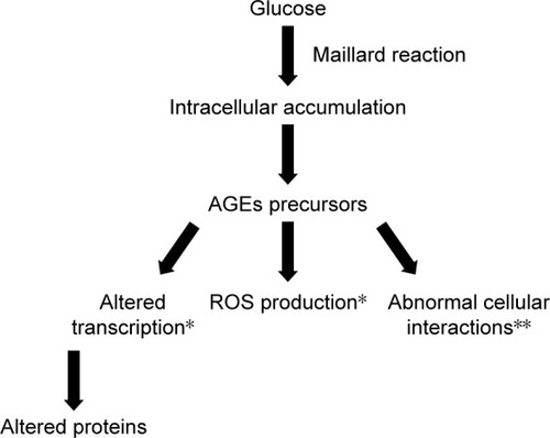 Figure 4 Schematic presentation of AGEs formation and the pathways through which AGEs target cells: altered function of intracellular proteins; abnormal interaction between matrix components and protein receptors (integrins); increased production of ROS due to abnormal interaction between plasma proteins and specific AGE receptors.
