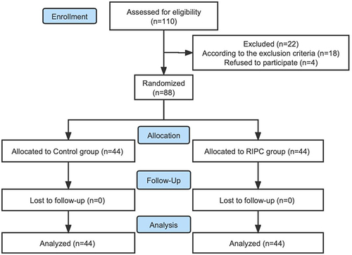 Figure 1 Flow chart of the study inclusion process.