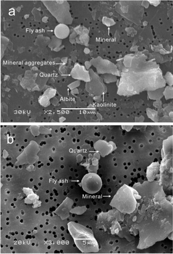 Fig. 7 Secondary electron images of some typical dust particles based on SEM–EDX, obtained from (a) LHG Glacier No.12, and (b) YNG Shiyi Glacier.