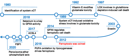 Figure 1 Overview of research history of ferroptosis.