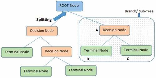 Figure 1. Fine Tree Model.