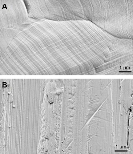 Figure 2 Field emission scanning electron micrographs of iron disk (A) and pin fixator (B).