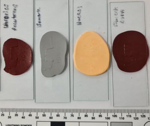 Figure 1. Left to right: casts made using AccuTrans® AB, Isomark™ T-1 grey, NuCASTtool, and Silmark CART.