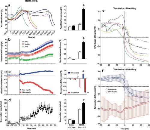 Figure 30. MDMA injected at a dose ~1/5 of the LD50 (9 mg/kg) at normothermic conditions (29°C) induces lethality in all tested rats. A = NAc temperature changes in individual animals; B = changes in NAc, muscle, and skin temperatures for the first 90 min from MDMA injection, when all rats were still alive; C = changes in NAc-muscle and skin-muscle differentials; D = changes in locomotor activity, E = changes in NAc-muscle differentials preceding and following termination of breathing in individual rats; F = mean changes in NAc-muscle and skin-muscle differentials preceding and following termination of breathing. Bar graphs show differences in temperature and locomotor effects for 90 min after MDMA injection at 23°C and 29°C. Original data were published in [Citation237] (Journal of Neuroscience, open access).