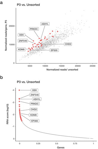 Figure 2. Enriched genes in the P3 population from the CRISPR-Cas9 screen. Sequencing read counts for guides targeting each gene in P3 vs unsorted cells. Replicate overlap of the top 10% enriched genes (in red) and specific genes of interest are highlighted. (a) Genes significantly enriched after 72-h treatment with PMA were identified with MAGeCK program. A modified robust ranking aggregation (RRA) algorithm was used to rank sgRNAs based on p-values.