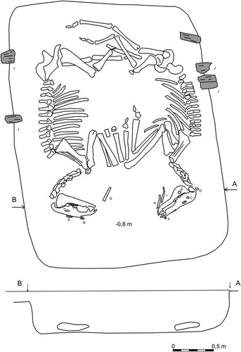Figure 3. Grave and burial of horses from the Husiatyn barrow, including the locations of round antler knobs (A–F), rod antler cheekpieces (G–I), and remnants of wooden cover (J). An antler knob located below E is not visible in this view.