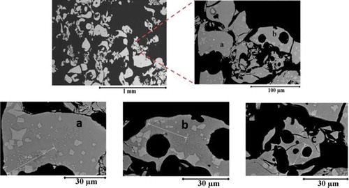 Figure 16. SEM images showing the morphology and phase distribution of WO3-CaO fragments that underwent an explosive interaction.