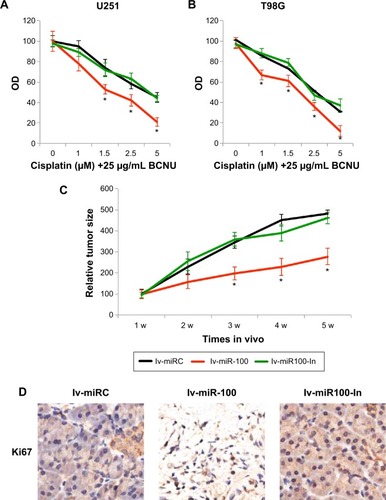 Figure 4 The effects of miR-100 upregulation or downregulation on glioblastoma chemosensitivity and in vivo tumor growth.