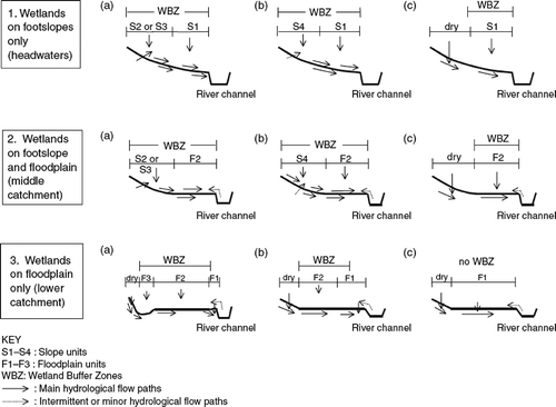 Fig. 4 Examples of generalized hydrology and geomorphic setting of river marginal wetland buffer zones and relationships to wetland functional units (Blackwell et al. Citation2009).