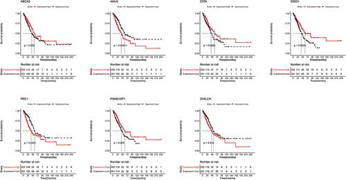 Figure 3 Survival analysis of seven m6A-related immune prognostic genes. Kaplan–Meier survival curves showing the prognostic value of PSMD10P1, DIDO1, ABCA5, CIITA, PRC1, ZWILCH, and ANLN.