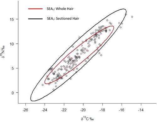 Figure 3. Example of isotopic niche ellipses for KATM bear sectioned (black) versus whole (red) hair data.