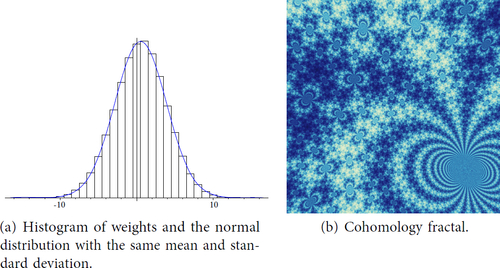 Fig. 21 Statistics for a cohomology fractal of s789 for a class vanishing on cusp.