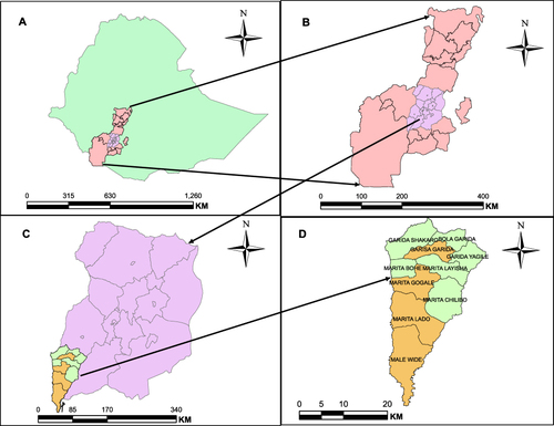 Figure 1 As indicated in Figure 1, (A) represents the Ethiopian boundary, (B) represents the South Nation Nationalities and Peoples’ (SNNP) Regional State, (C) represents the Gamo Zone, and (D) represents the administrative map of Garda Marta District. Area shaded with light yellow color for the study district (D) shows kebeles affected by the measles outbreak.