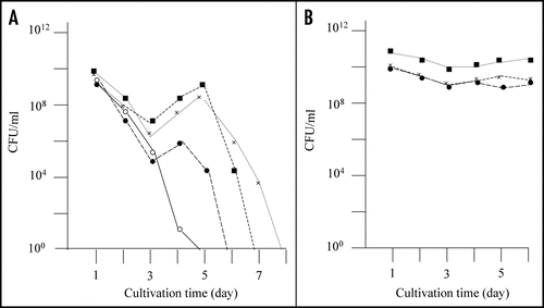 Figure 1 Detection of mutants that did not exhibit rapid decrease of colony forming ability in the stationary phase. (A) E. coli strain BL21 was transformed with pGEX-SUP35NM, and colony forming ability was examined as described in Materials and Methods. In a majority of cases colony forming ability decreased quickly (solid line), but there were cases (at a frequency of about a 5% of the trials) in which the colony forming ability temporarily increased; of a total of eight such cases, three are shown in this figure (dotted lines). (B) From each of the eight exceptional cases, a representative clone was picked, inoculated in fresh growth medium, and examined for colony forming ability as before; only the three clones corresponding to the exceptional cases shown in Figure 1A are shown.