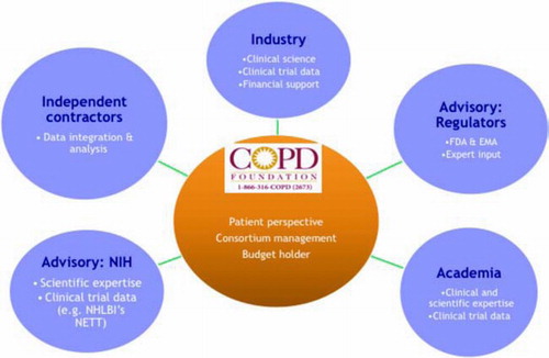 Figure 1.  Structure of the COPD Biomarkers Qualification Consortium.