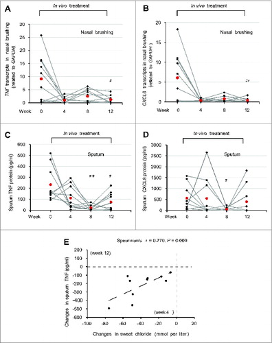 Figure 9. Effects of treatment on respiratory inflammation in vivo in F508del-CFTR homozygous patients. (A and B) TNF and CXCL8 transcript levels in nasal brushing from all the enrolled CF patients before (wk 0) and after 4, 8 and 12 wk of treatment. (A) TNF, ##P = 0.026 and (B) CXCL8, ##P = 0.023 vs wk 0. (C and D) TNF and CXCL8 protein levels (pg/ml) in the sputum before treatment (wk 0) and after 4, 8 and 12 wk of treatment. (C) TNF, ##P = 0.0019, #P = 0.016 as compared to wk 0. (D) CXCL8, #P = 0.024 vs wk 0. (E) Correlation between absolute changes in TNF protein levels (pg/ml) in the sputum after 12 wk of treatment and in sweat chloride levels (mmol/L) after 4 wk of treatment. The Spearman r = 0.770, P = 0.009.
