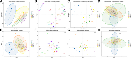 Figure 5 The β-diversity of gut microbiota based on NMDS analysis. (A) PCoA based on Bray-Curtis distance. (B) PCoA is based on Jaccard distance. (C) PCoA based on Unweighted UniFrac distance. (D) PCoA based on Weighted UniFrac distance. (E) NMDS based on Bray-Curtis distance. (F) NMDS based on Jaccard distance. (G) NMDS based on Unweighted UniFrac. (H) NMDS based on Weighted UniFrac.