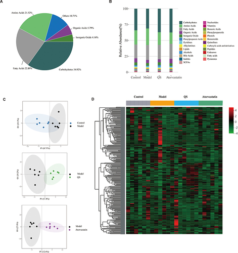 Figure 7 Effect of Qianshan Huoxue Gao (QS) on metabolites in acute coronary syndrome (ACS) model rats. (A and B) Distribution of metabolites in different groups. (C) Orthogonal projections to latent structures discriminant analysis (OPLS-DA) of metabolomic results in different groups. (D) Heatmap of the fecal metabolite profile.