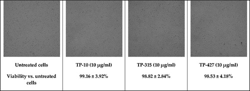 Figure 2. Viability of U-87 MG cells exposed to a fixed concentration of TP-10, TP-315, and TP-427.