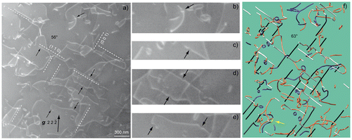 Figure 2. Main slip systems and cross-slip or/and collinear annihilations in PoEM8: (a) WBDF micrograph performed with g  = , with a tilt angle of 56° where: the and the plane are indicated, black arrows point out probable specific configurations, which may be cross-slip or/and collinear interactions with small dislocation loops (some isolated loop, with approximately the same sizes, are in the vicinity); (b) Three Enlargement of (a), upper part; (c) Enlargement of (a), upper part of the image centre; (d) Enlargement of (a), lower part of the image centre; (e) Enlargement of (a), lower part; (f) Corresponding reconstruction volume, with a projected angle of 63° where: black dislocation segments designate the edge-on slip systems, white dislocation segments designate the edge-on slip systems, the yellow arrow points out a junction.