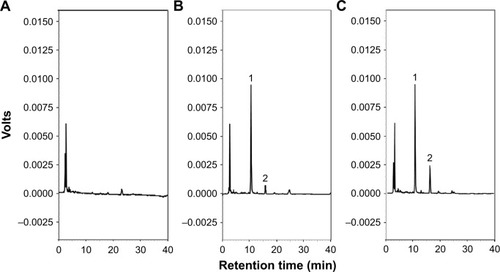 Figure 4 High-performance liquid chromatograms of (A) blank rat plasma, (B) standard andrographolide solution (0.5 μg/mL) and internal standard (ISTD) solution spiked with blank rat plasma, and (C) rat plasma sample at 5 min after oral administration of 100 mg/kg andrographolide-loaded nanoemulsion. Peak identification: (1): 10 μg/mL ISTD and (2): andrographolide.