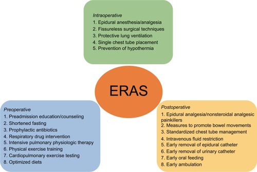 Figure 1 Care elements implemented in the ERAS protocols for lung cancer surgery.