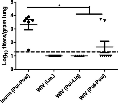 Figure 5. Effect of pulmonary vaccination on lung virus titers upon live virus challenge. Three weeks after the second vaccination cotton rats were challenged with 107 TCID50/ animal of A/Cal/2009 virus. One day post challenge some animals were sacrificed and their lungs were homogenized to determine virus load. Virus titers are represented as log10 titers per gram of lung and significant differences between titers of different groups are represented as *p < .05. LoD is represented by a dashed line at 1.3. Data are presented as average ± standard error of the mean [n = 6 for inulin (Pul-Pow) (•), n = 6 for WIV (i.m.) (▪), n = 5 for WIV (Pul-Liq) (▴), and n = 8 for WIV (Pul-Pow) (▾)].