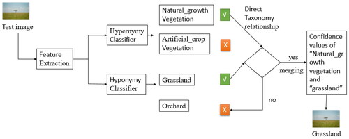 Figure 15. Classification using merging classifiers Kwenda et al. (Citation2023).