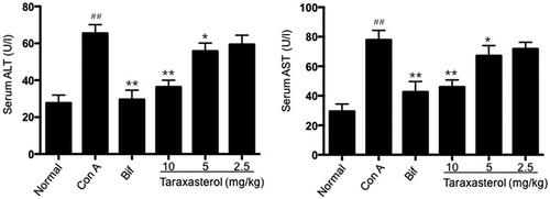 Figure 3. Effects of taraxasterol on serum ALT and AST levels in Con A-induced acute hepatic injury. The mice were treated with taraxasterol (10, 5 and 2.5 mg/kg, respectively) or Bif and injected a single dose of Con A. Serum ALT and AST levels were determined by commercial reagent kits. The values represent the means ± SEMs and are expressed as U/l of sera. ##p < .01 vs. Normal group; *p < .05, **p < .01 vs. Con A group.