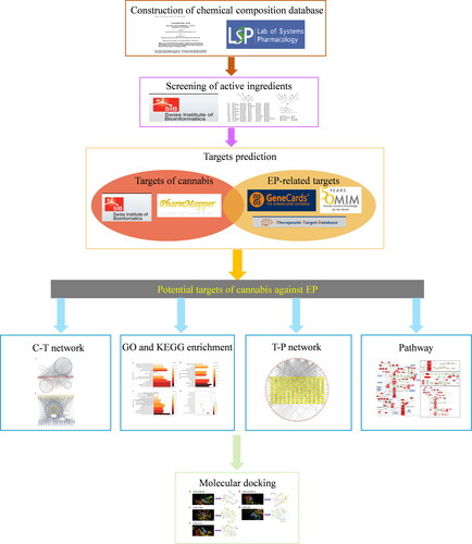 Figure 1. Workflow of the network pharmacological investigation on the potential use of cannabis in EP treatment.