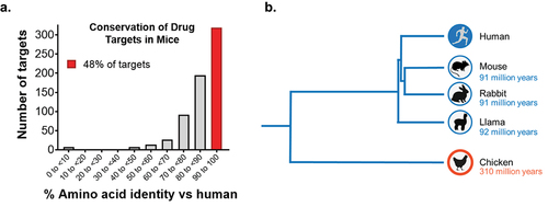 Figure 1. Sequence conservation of drug targets. a) Human drug targets show high conservation with mouse orthologs. A collection of 663 small and large molecule human drug targets curated in the ECOdrug database7 were analyzed with respect to their sequence identity in mice. 48% of targets showed sequence identity of >90%, and 24% of targets showed sequence identity of >95% compared to their mouse orthologs. Seven targets were not predicted to have a murine ortholog. b) Phylogenetic tree of divergent species used as hosts for immunization, shown with respect to evolutionary distance from humans.8,9