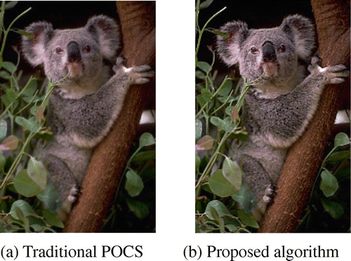 Figure 3. Different reconstruction results.