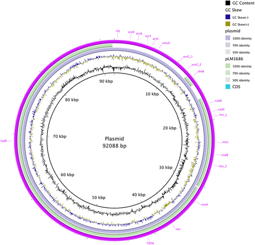 Figure 4 The plasmid comparison using BRIG with the plasmid pLM1686.