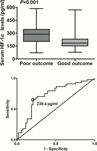 Figure 5 Relationship between serum hypoxia-inducible factor 1alpha levels and poor outcome at 90 days after intracerebral hemorrhage. A poor outcome was defined as Glasgow Outcome Scale of 1–3 at 90 days after hemorrhagic stroke. Serum hypoxia-inducible factor 1alpha levels were significantly elevated in patients with a poor outcome, as compared to those with a good outcome using Mann–Whitney U-test (P<0.001). Under receiver-operating characteristic curve, serum hypoxia-inducible factor 1alpha levels remarkably predicted post-stroke 90-day poor outcome (area under curve, 0.725; 95% confidence interval, 0.625–0.811); and serum hypoxia-inducible factor 1alpha levels more than 239.4 pg/mL distinguished patients with development of poor 90-day outcome with specificity and sensitivity values of 79.3% and 65.9% (Youden index J, 0.452) respectively.